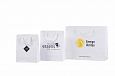 durable laminated paper bags with logo | Galleri- Laminated Paper Bags laminated paper bag with pe