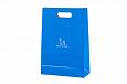 durable laminated paper bags with logo | Galleri- Laminated Paper Bags exclusive, durable laminate