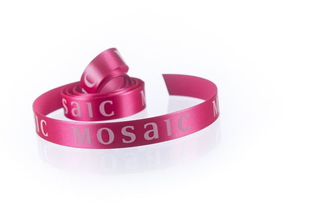 luxury satin ribbon with logo print 