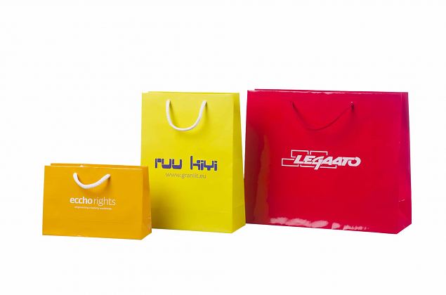 Laminated Paper Bags 